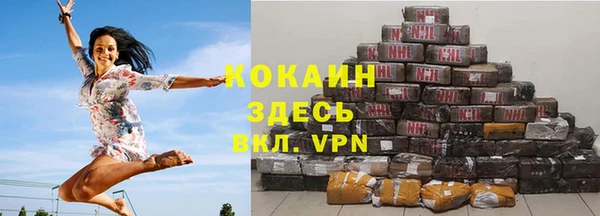шишки Арсеньев