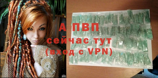 шишки Арсеньев