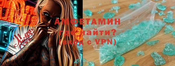 шишки Арсеньев