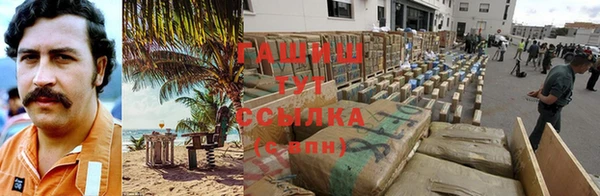 шишки Арсеньев