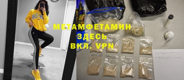 шишки Арсеньев